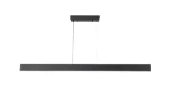 Flora P150 Pendel