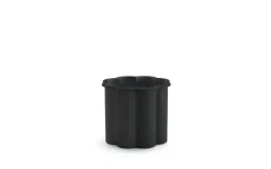 Gråsippa Växtkärl