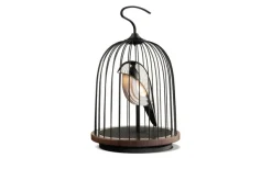 JinGoo Wireless Högtalare/Lampa