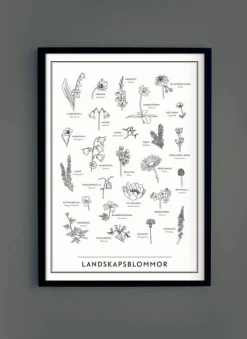 Landskapsblommor Affisch