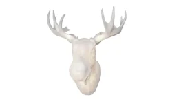 Moo Vägglampa