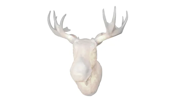 Moo Vägglampa