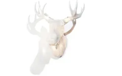 Moo Vägglampa