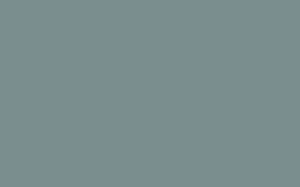 No. 85 Oval Room Blue