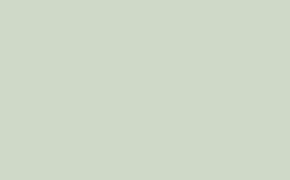 No. 204 Pale Powder