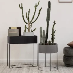 Plant Box