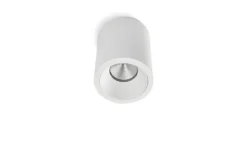 Tube Ceiling Spot