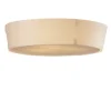 Z 818 Plafond Taklampa